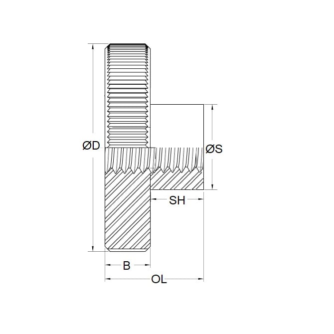 Thumb Nut 1/4-20 UNC x 25.4 x 12.7 Stainless 303 Grade - MBA  (Pack of 1)