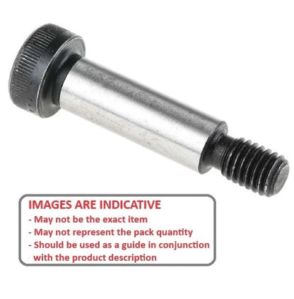 SHLD100-120-SKT-C Screws (Remaining Pack of 34)