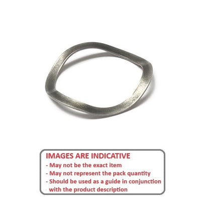 W0160-T-019-022-W3-S400 Washers (Pack of 2)